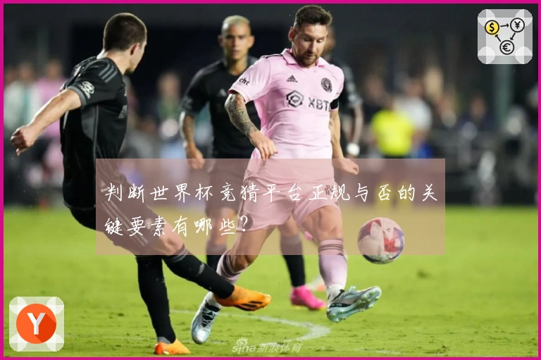 判断世界杯竞猜平台正规与否的关键要素有哪些？
