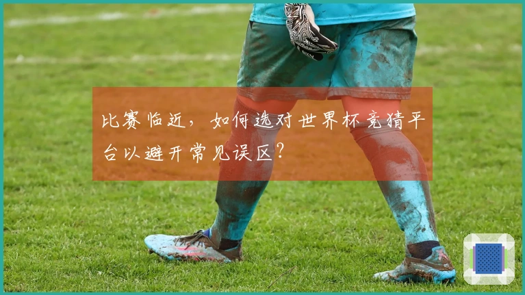 比赛临近，如何选对世界杯竞猜平台以避开常见误区？