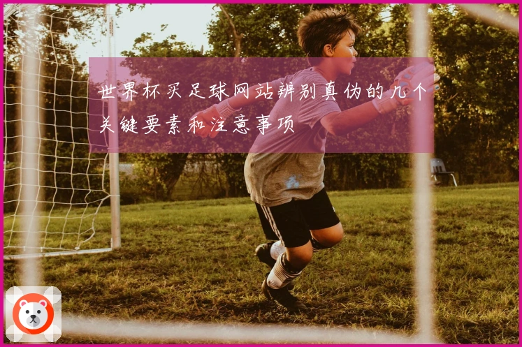 世界杯买足球网站辨别真伪的几个关键要素和注意事项