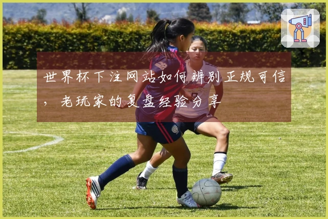 世界杯下注网站如何辨别正规可信，老玩家的复盘经验分享