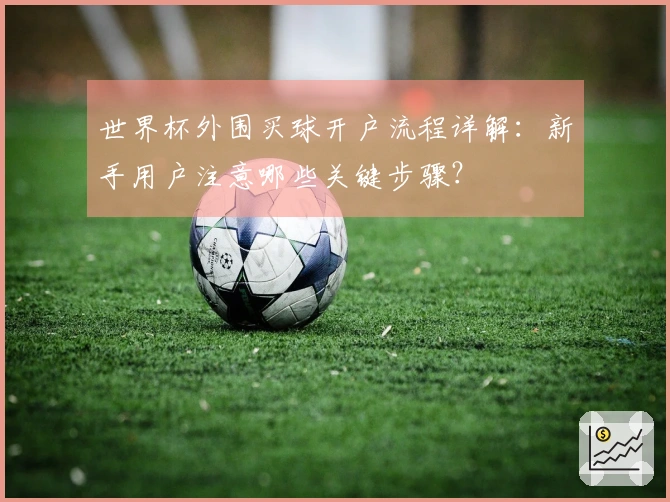 世界杯外围买球开户流程详解：新手用户注意哪些关键步骤？