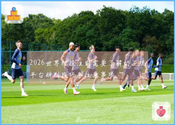 2026世界杯投注前需要了解的正规平台辨别技巧和注意事项