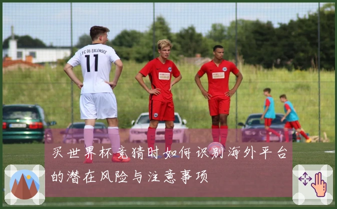 买世界杯竞猜时如何识别海外平台的潜在风险与注意事项