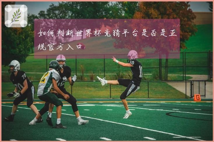 如何判断世界杯竞猜平台是否是正规官方入口