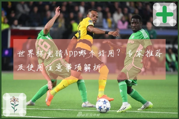 世界杯竞猜App哪个好用？专家推荐及使用注意事项解析