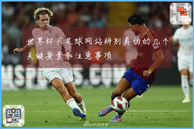 世界杯买足球网站辨别真伪的几个关键要素和注意事项
