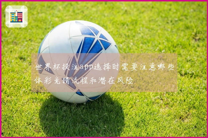 世界杯投注app选择时需要注意哪些体彩竞猜流程和潜在风险