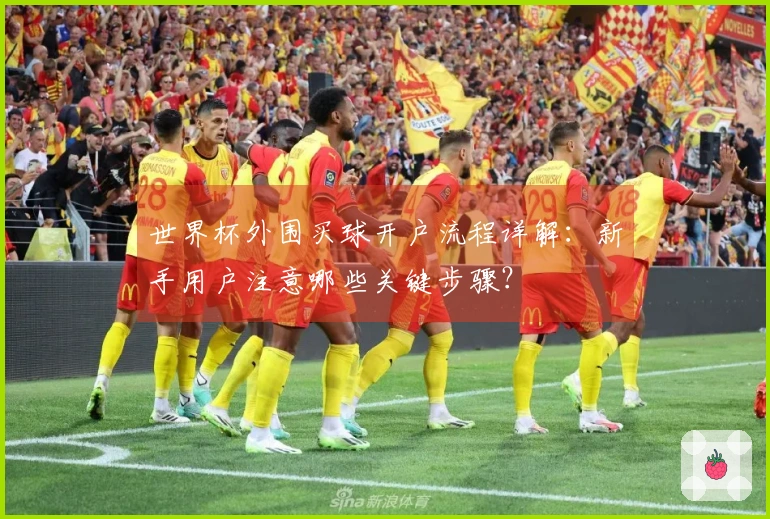 世界杯外围买球开户流程详解：新手用户注意哪些关键步骤？