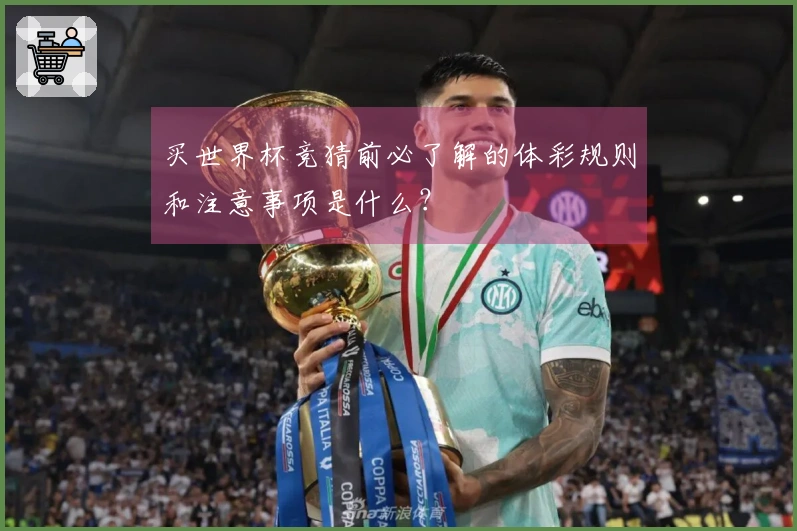 买世界杯竞猜前必了解的体彩规则和注意事项是什么？