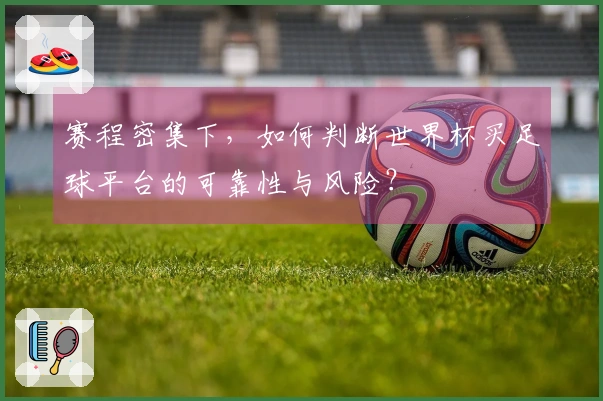 赛程密集下,如何判断世界杯买足球平台的可靠性与风险?