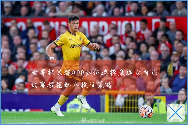 世界杯买球app如何选择最适合自己的赛程搭配和投注策略