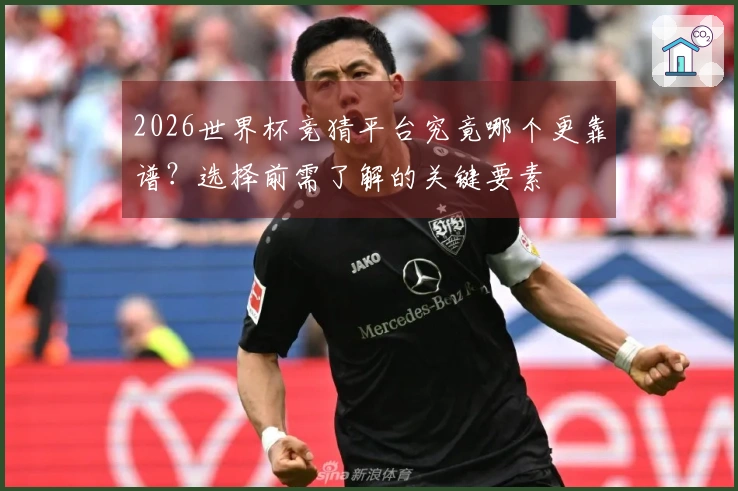 2026世界杯竞猜平台究竟哪个更靠谱?选择前需了解的关键要素
