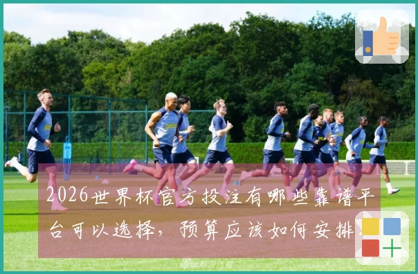 2026世界杯官方投注有哪些靠谱平台可以选择，预算应该如何安排？