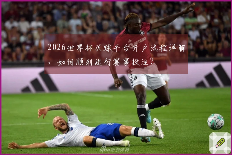 2026世界杯买球平台开户流程详解，如何顺利进行赛事投注？