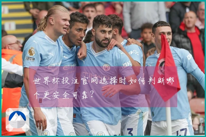 世界杯投注官网选择时如何判断哪个更安全可靠？