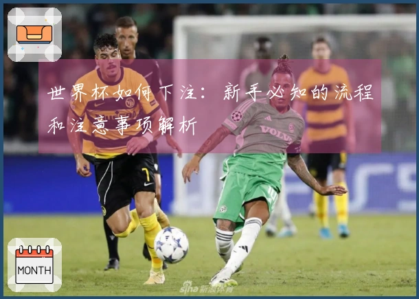 世界杯如何下注：新手必知的流程和注意事项解析