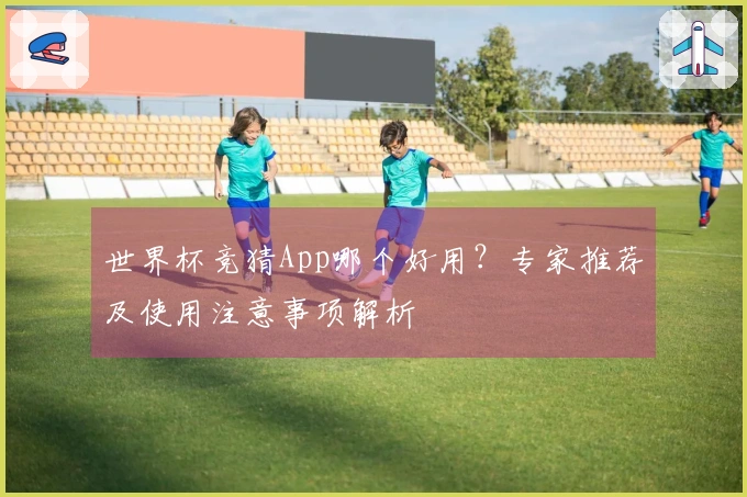 世界杯竞猜App哪个好用?专家推荐及使用注意事项解析