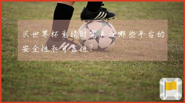买世界杯竞猜时需关注哪些平台的安全性和可靠性？