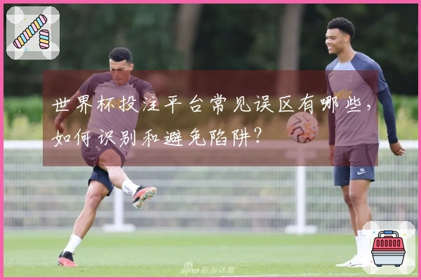 世界杯投注平台常见误区有哪些，如何识别和避免陷阱？