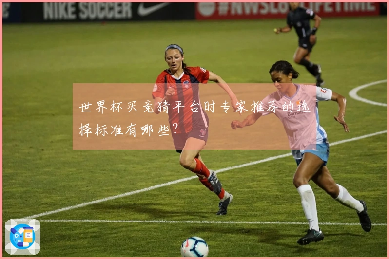 世界杯买竞猜平台时专家推荐的选择标准有哪些?