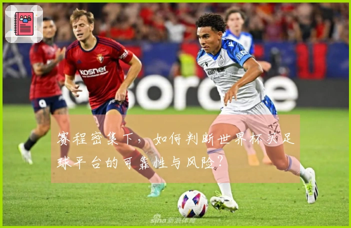 赛程密集下，如何判断世界杯买足球平台的可靠性与风险？