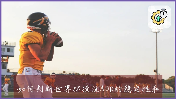 如何判断世界杯投注App的稳定性和安全性，避免投资风险？
