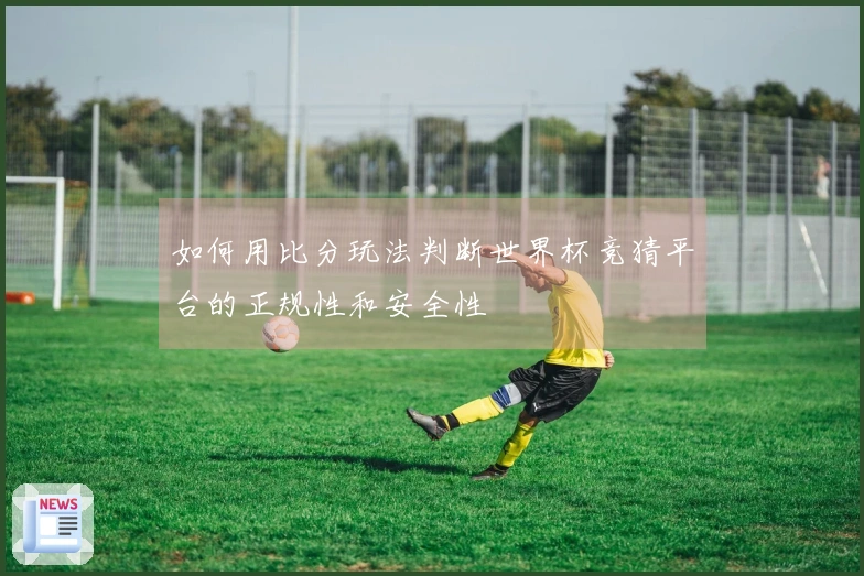 如何用比分玩法判断世界杯竞猜平台的正规性和安全性