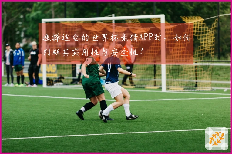 选择适合的世界杯竞猜APP时，如何判断其实用性与安全性？